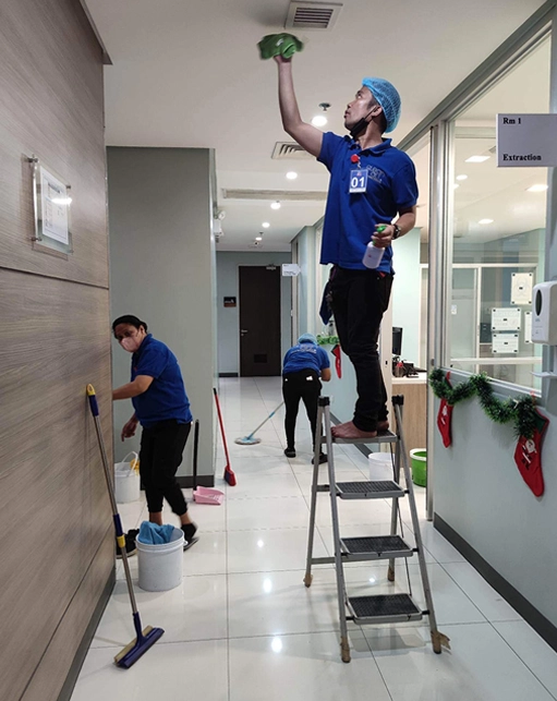 About Urban Home Cleaner